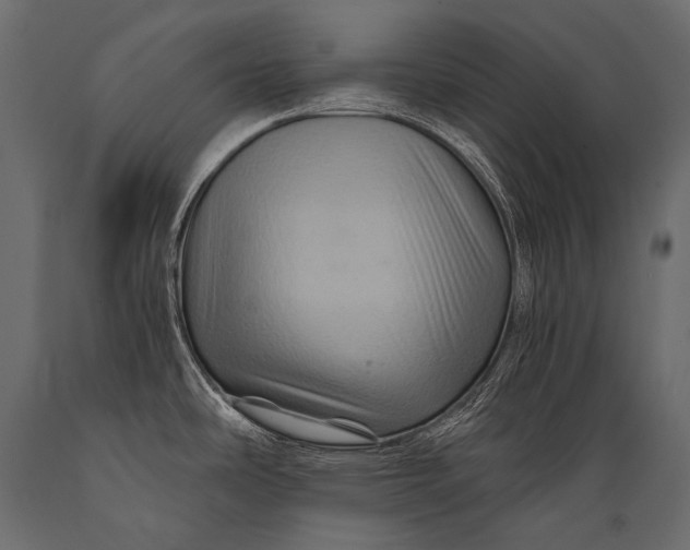 X0000088861486200706291506