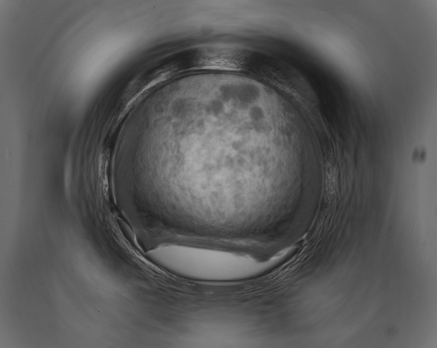 X0000088861487200706291506