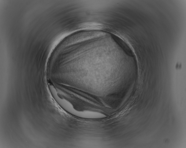 X0000088861488200706291506