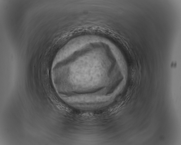 X0000088861489200706291506