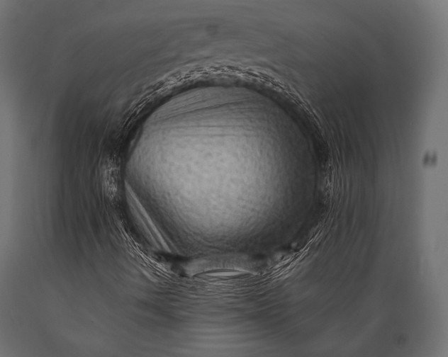 X0000088861490200706291506