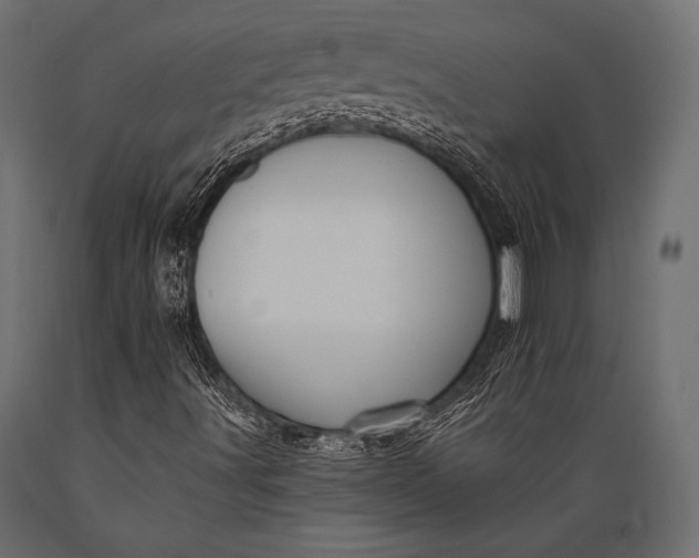 X0000088861491200706291506