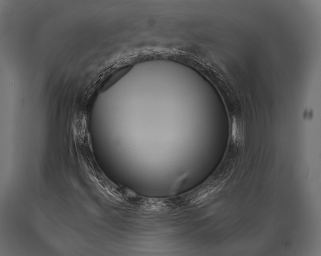 X0000088861492200706291506