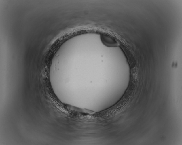 X0000088861495200706291506
