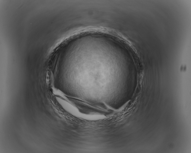 X0000088861496200706291506