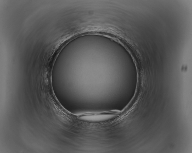 X0000088861497200706291506