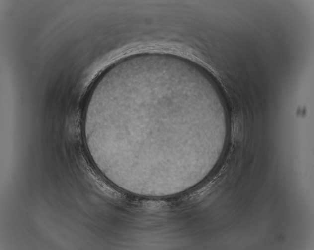 X0000088861498200706291506