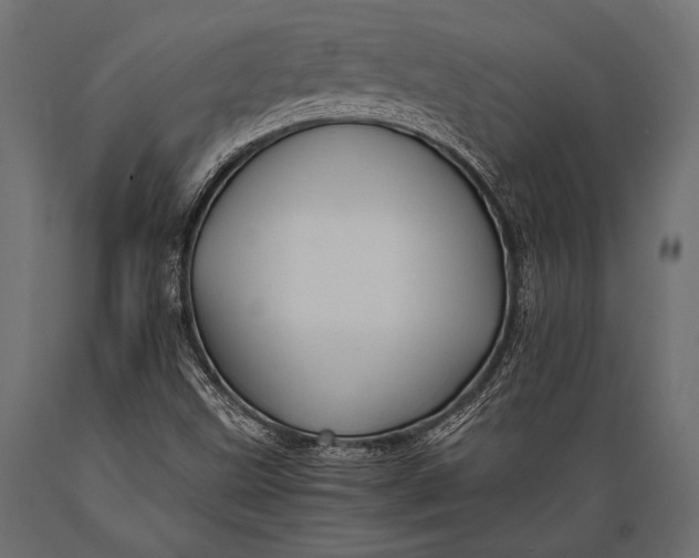 X0000088861499200706291506
