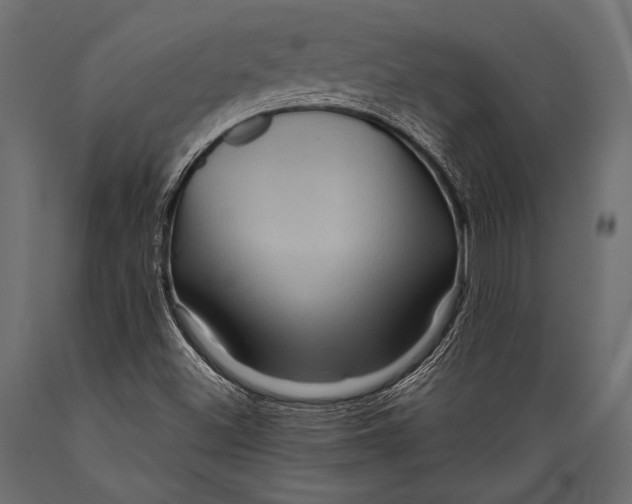 X0000088861500200706291506