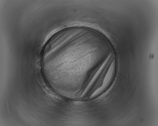 X0000088861501200706291506
