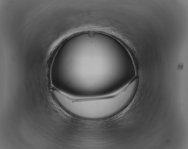 X0000088861502200706291506