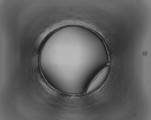 X0000088861503200706291506