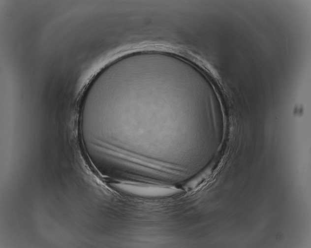 X0000088861504200706291506