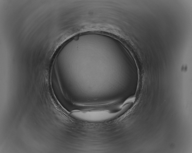 X0000088861505200706291506