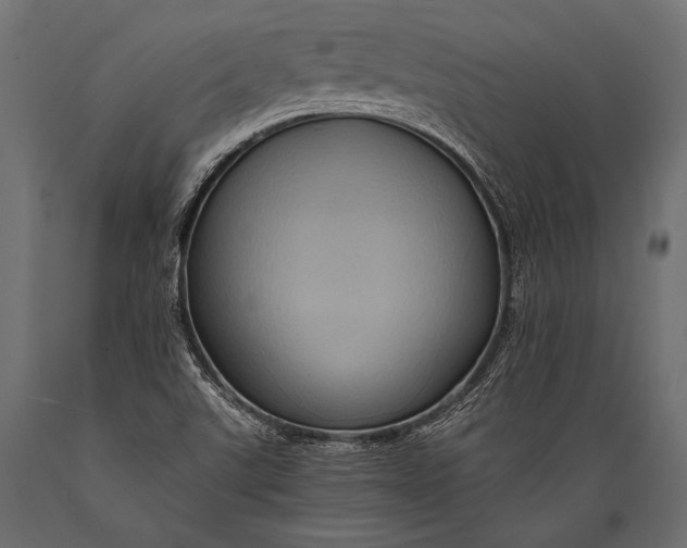 X0000088861507200706291506