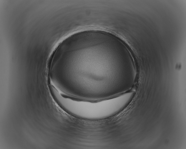 X0000088861508200706291506