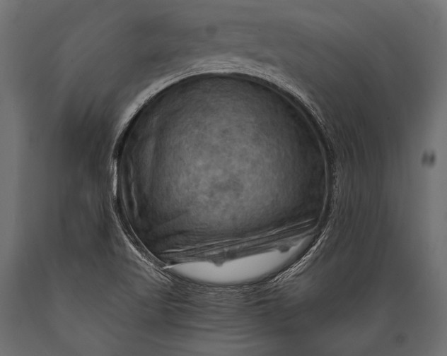 X0000088861509200706291506