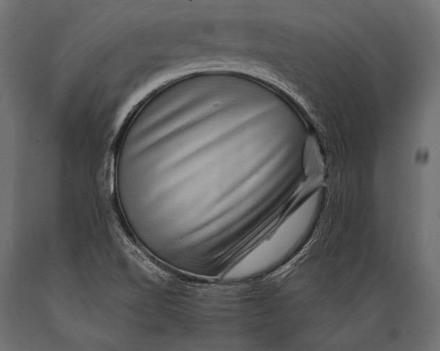 X0000088861510200706291506