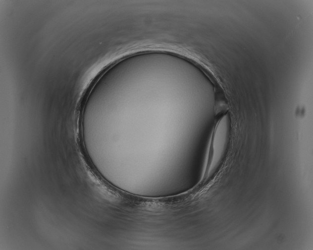 X0000088861511200706291506