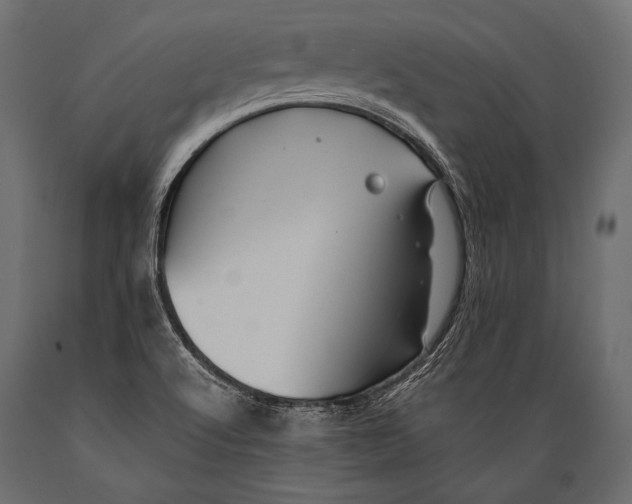 X0000088861512200706291506
