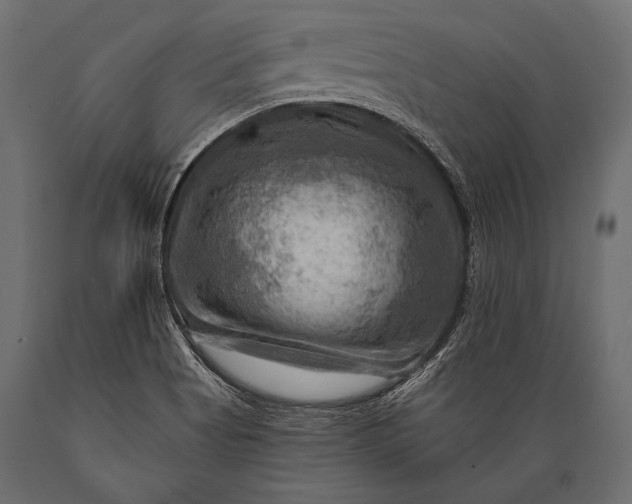 X0000088861513200706291506