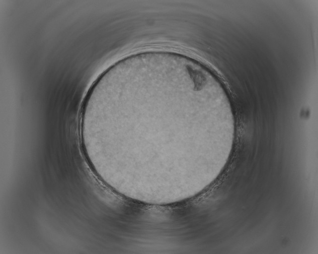 X0000088861514200706291506