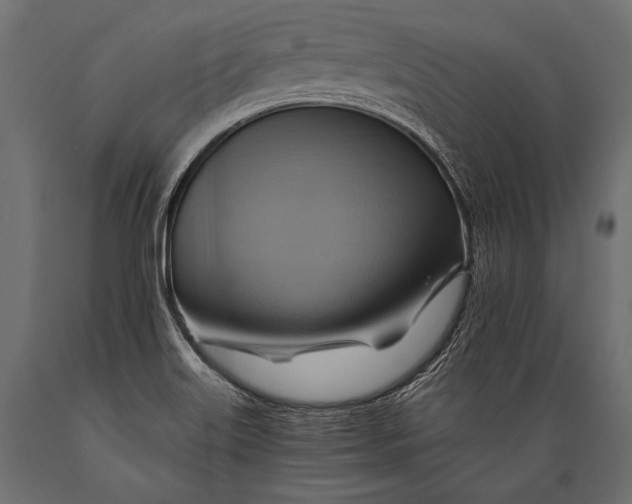 X0000088861515200706291506