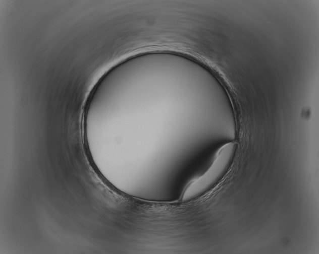 X0000088861516200706291506