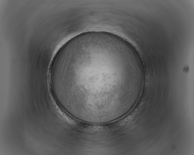 X0000088861517200706291506