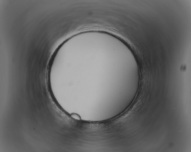 X0000088861518200706291506