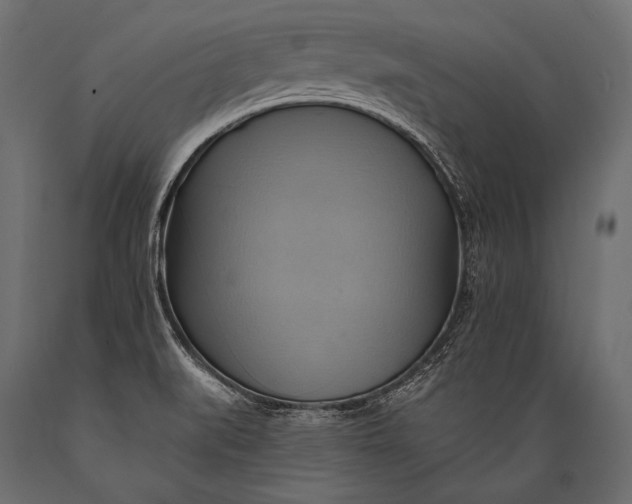 X0000088861519200706291506