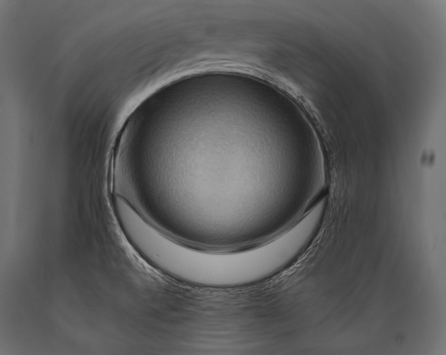 X0000088861520200706291506