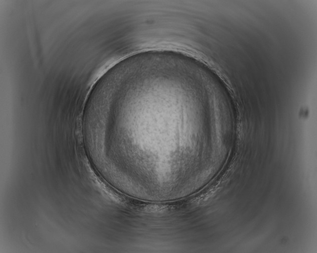 X0000088861521200706291506