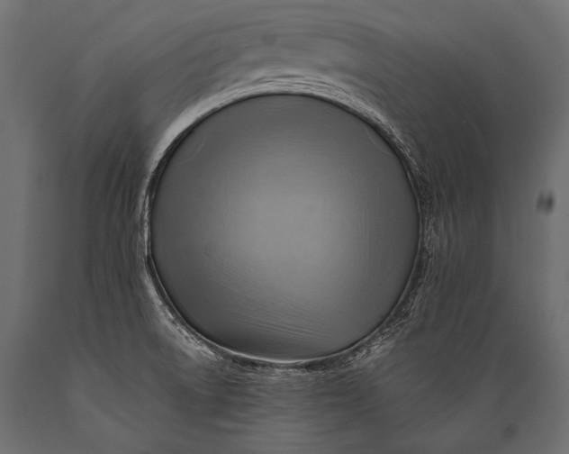 X0000088861522200706291506