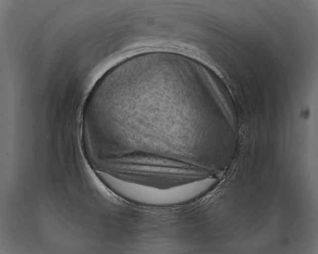 X0000088861523200706291506