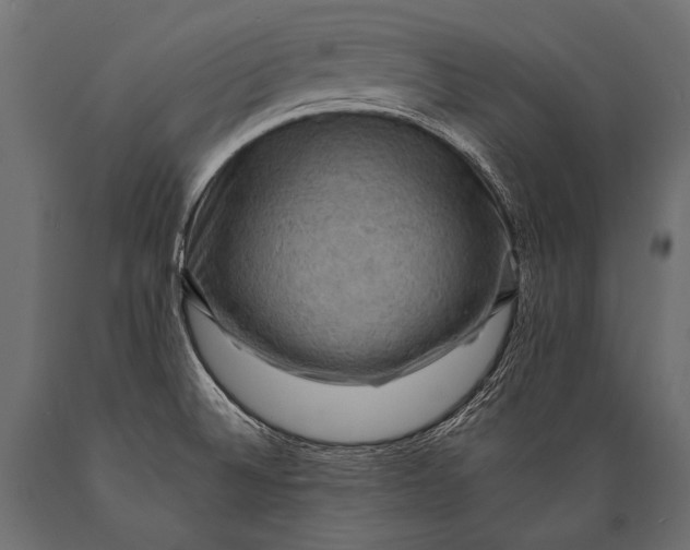 X0000088861524200706291506