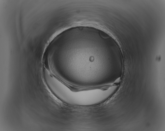 X0000088861525200706291506