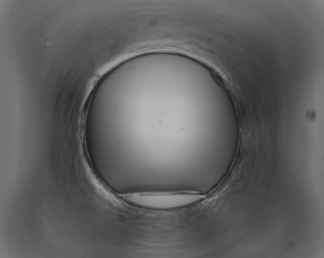 X0000088861526200706291506