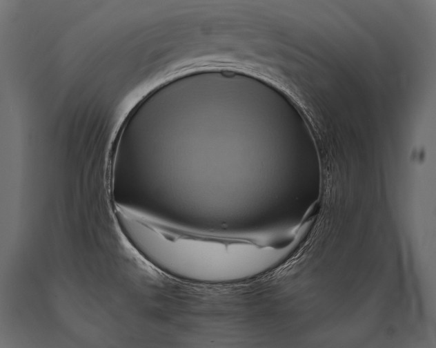 X0000088861527200706291506