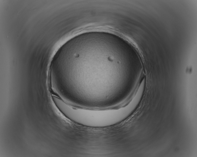 X0000088861528200706291506