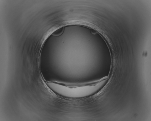X0000088861529200706291506