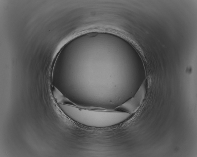 X0000088861530200706291506