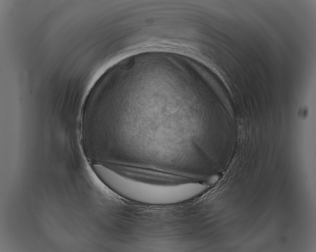 X0000088861531200706291506