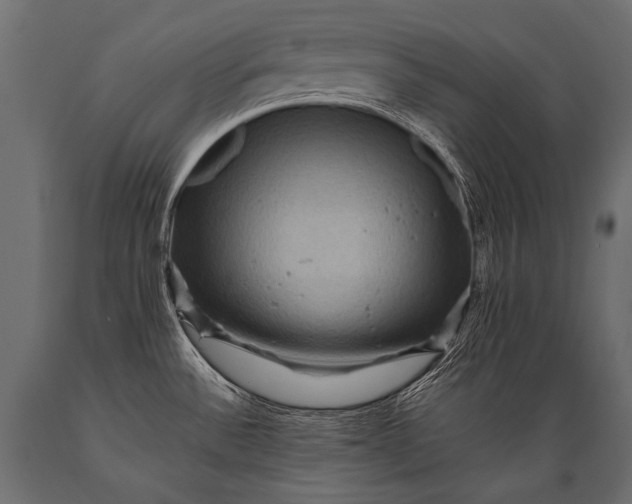 X0000088861532200706291506