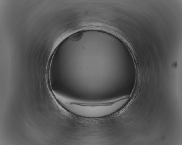 X0000088861533200706291506