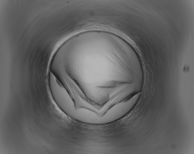 X0000088861536200706291506