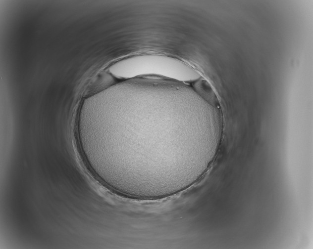 X0000088860001200707061059