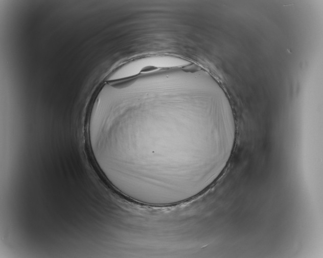 X0000088860002200707061059