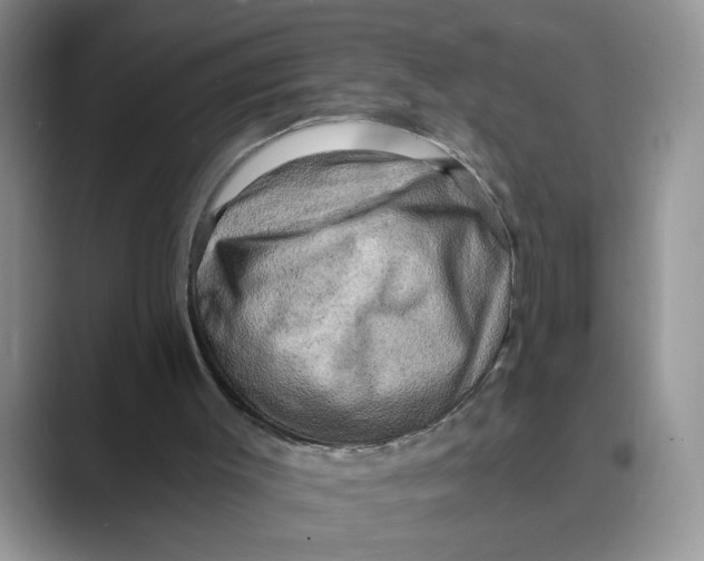 X0000088860003200707061059