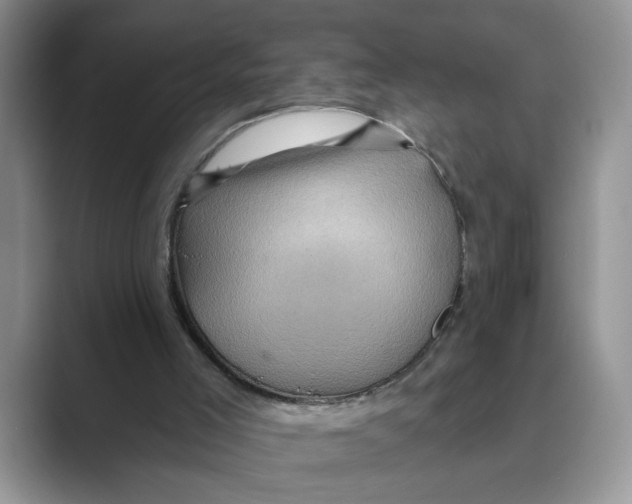 X0000088860005200707061059